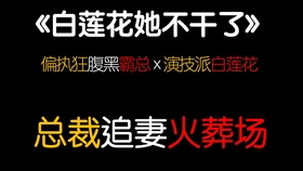 今日推荐言情小说 霸总的叛逆小娇妻 主角 姜颜 墨北辰 哔哩哔哩 つロ干杯 Bilibili