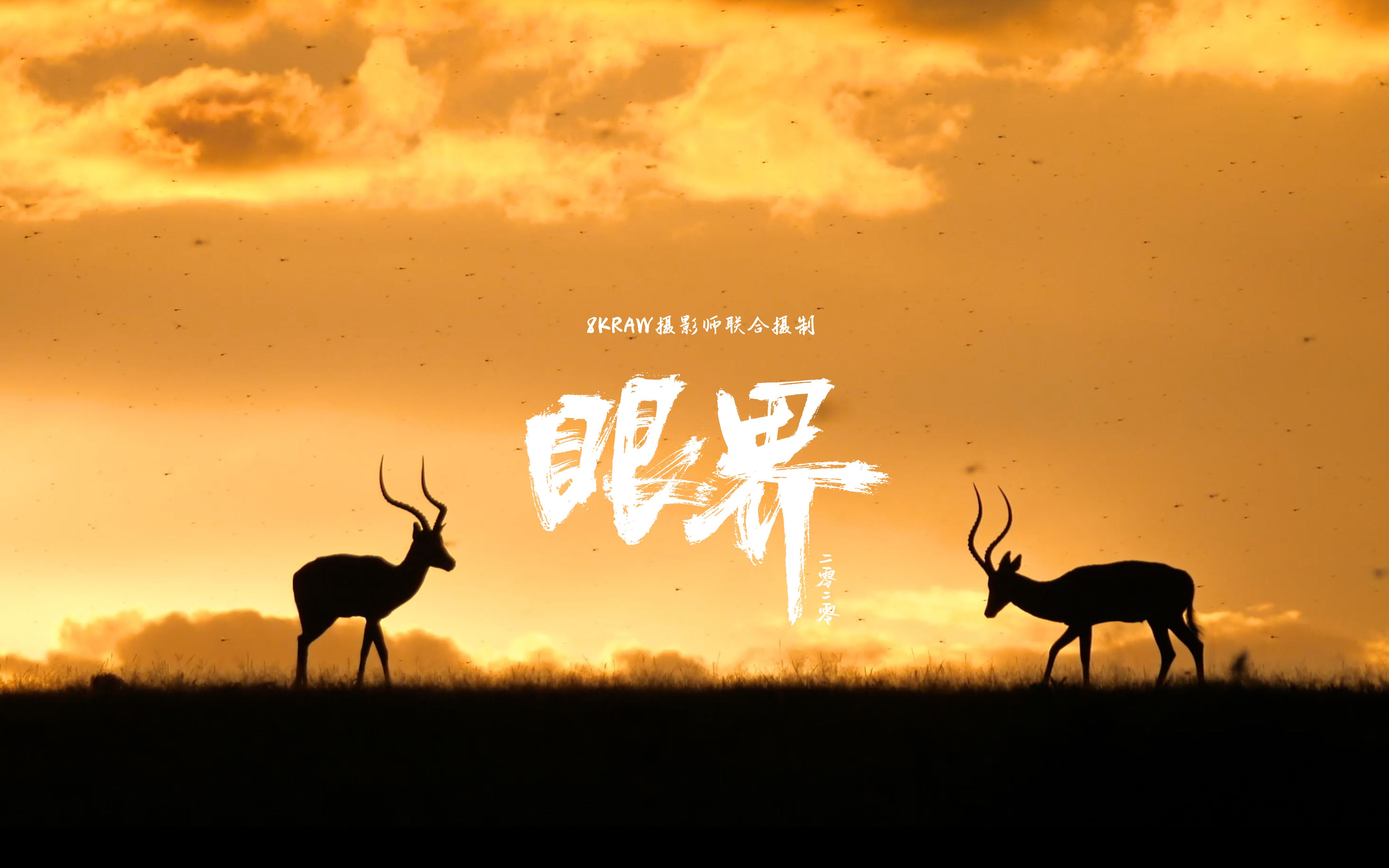 眼界2020:你们看,这世界多美啊_哔哩哔哩_bilibili