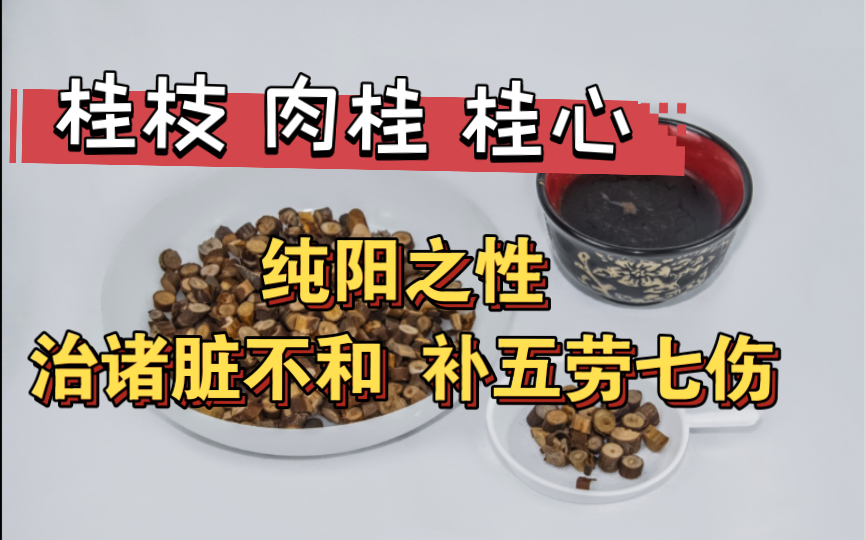 桂心功效(桂心功效大揭秘:让你健康美丽的秘密)