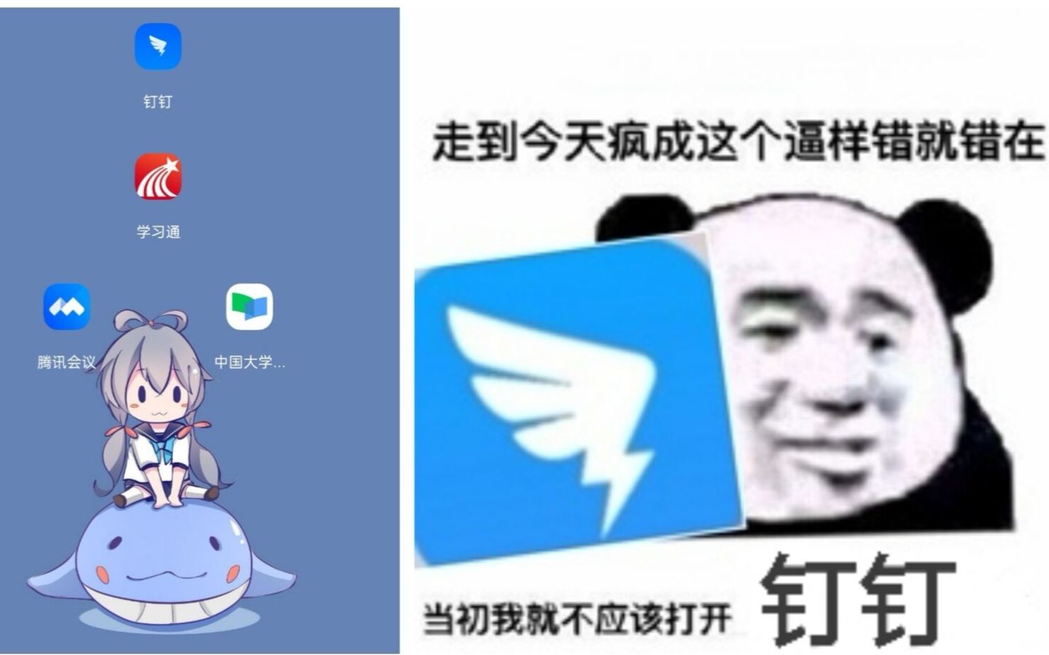 哈哈哔哩哔哩bilibili