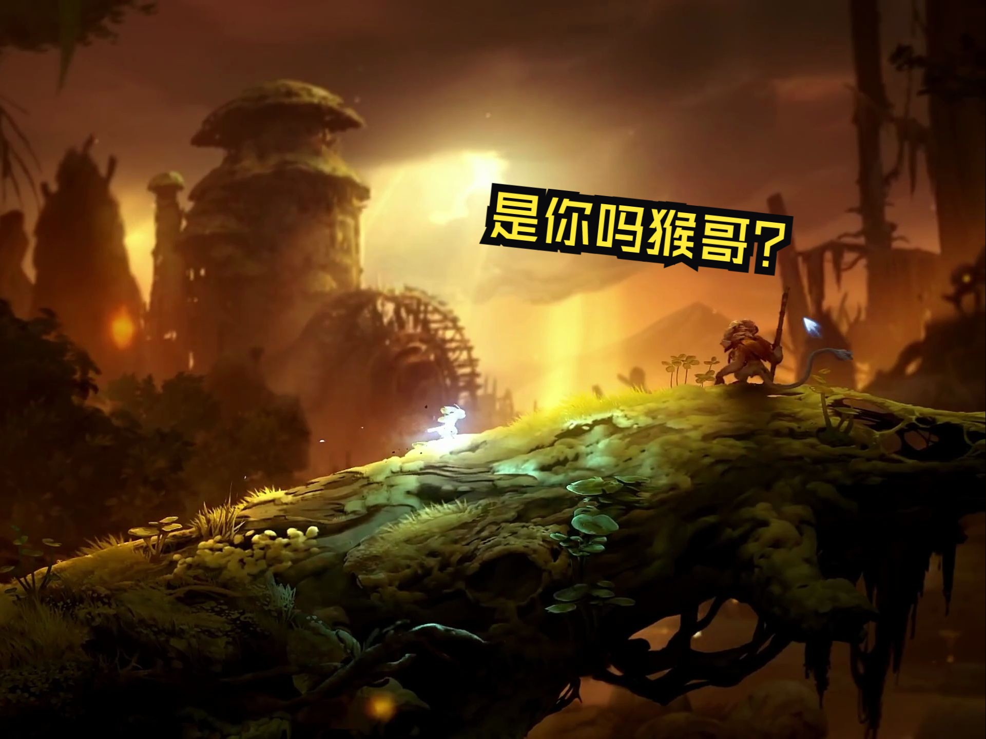 【奥日与萤火意志】最无聊的一集 第二期
