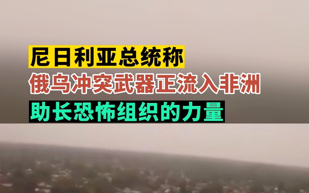 尼日利亚总统称 俄乌冲突武器正流入非洲 助长恐怖组织的力量哔哩哔哩bilibili