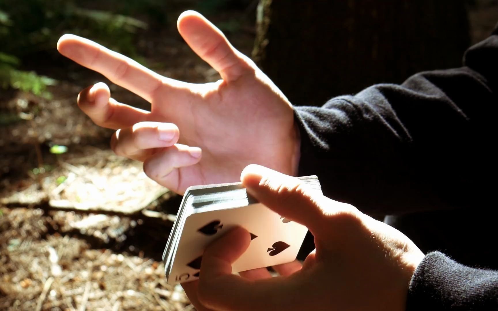 【花切欣赏】tigerwoods - cardistry丨牌艺师:tobias levin