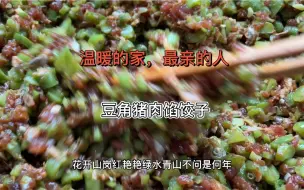 Download Video: 热气腾腾的饺子