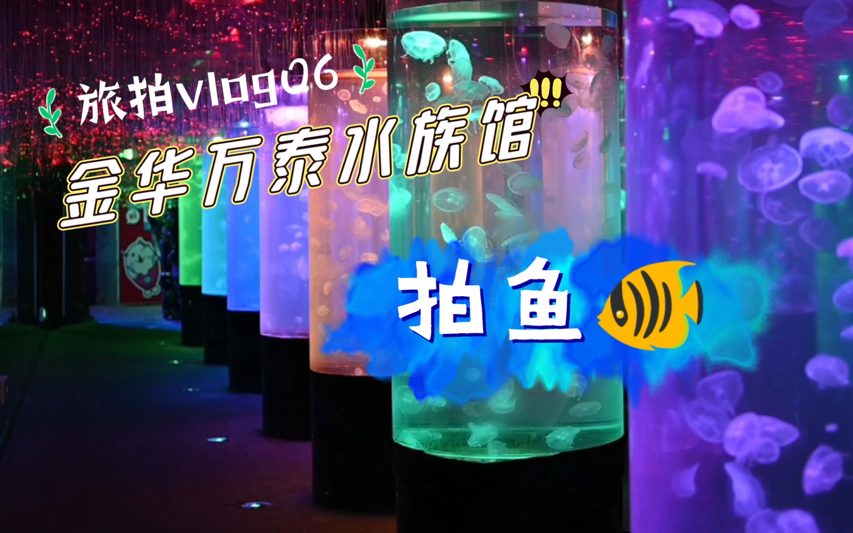 【旅拍06】逛金华万泰水族馆,拍一拍我最喜欢的鱼