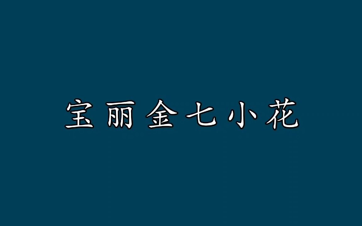 [图]宝丽金七小花，谁的实力最强？评论区投出你的最爱！