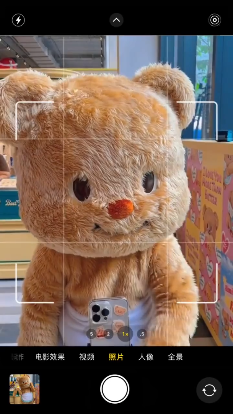 黄油小熊欢快卡点视频