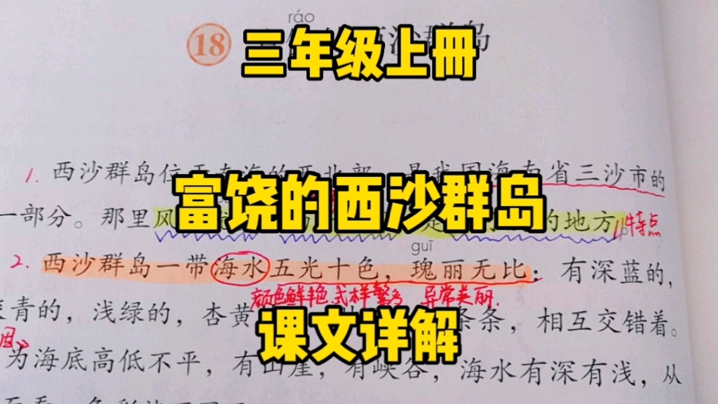 三年级语文上册:一起走进《富饶的西沙群岛》感受它的美丽与可爱!哔哩哔哩bilibili