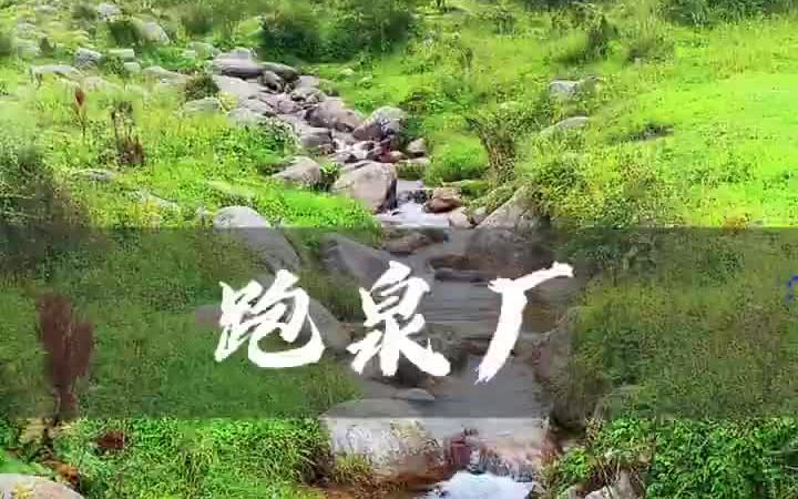 石家庄附近天然氧吧,自驾旅行者天堂跑泉厂哔哩哔哩bilibili