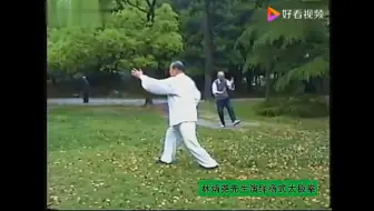 Download Video: 林炳尧先生杨氏太极拳