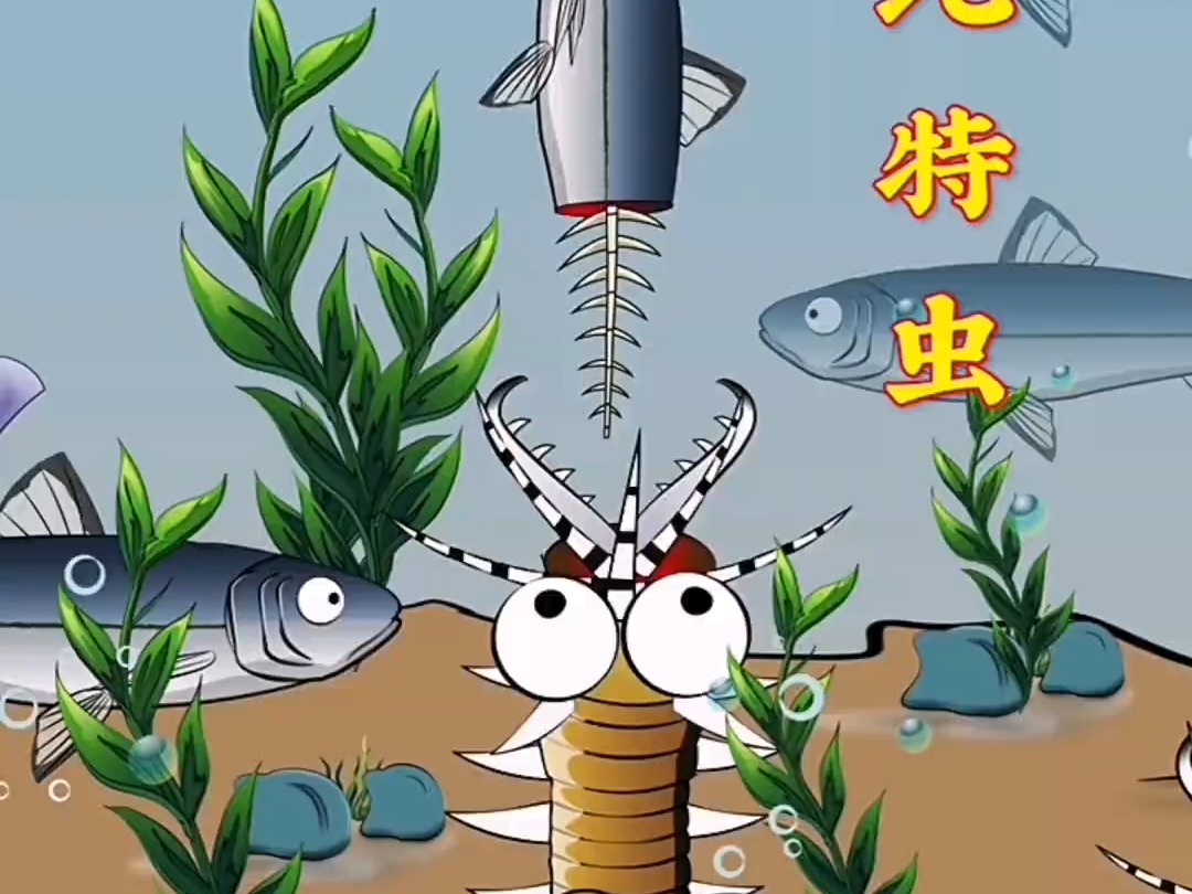 你知道吗?博比特虫可是海底隐形猎手!