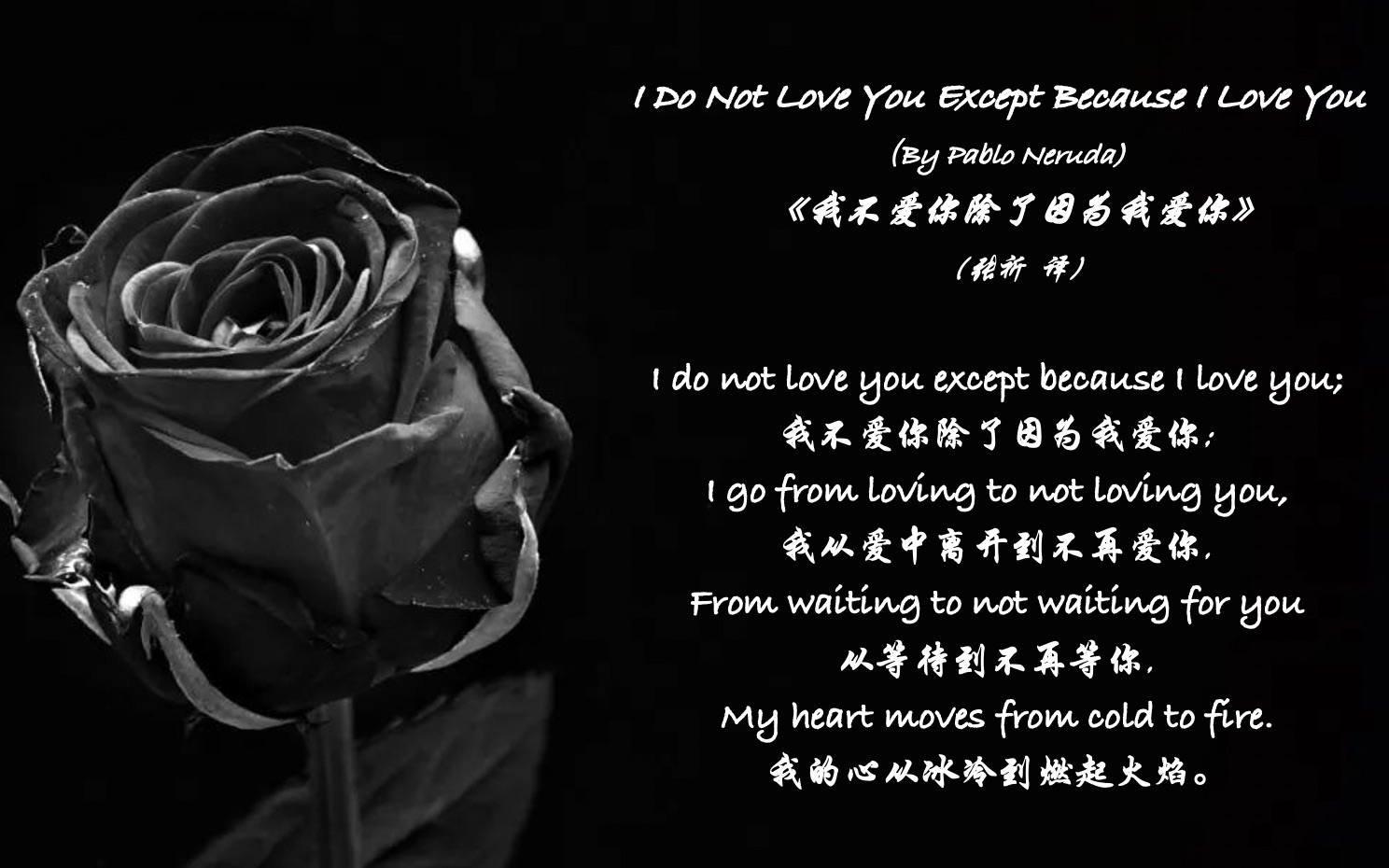 【英文朗读】I do not love you except I love you 我不爱你除了我爱你哔哩哔哩bilibili