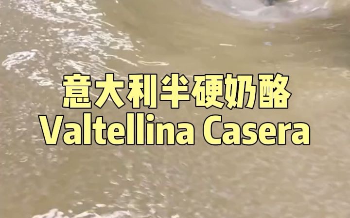 意大利半硬质奶酪Valtellina Casera生产过程哔哩哔哩bilibili