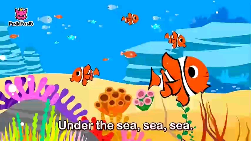 [图]tropical fish song