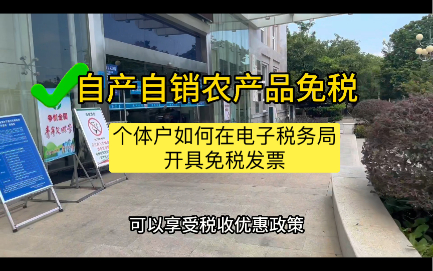 会计实操20|个体户如何在电子税务局开具免税发票哔哩哔哩bilibili