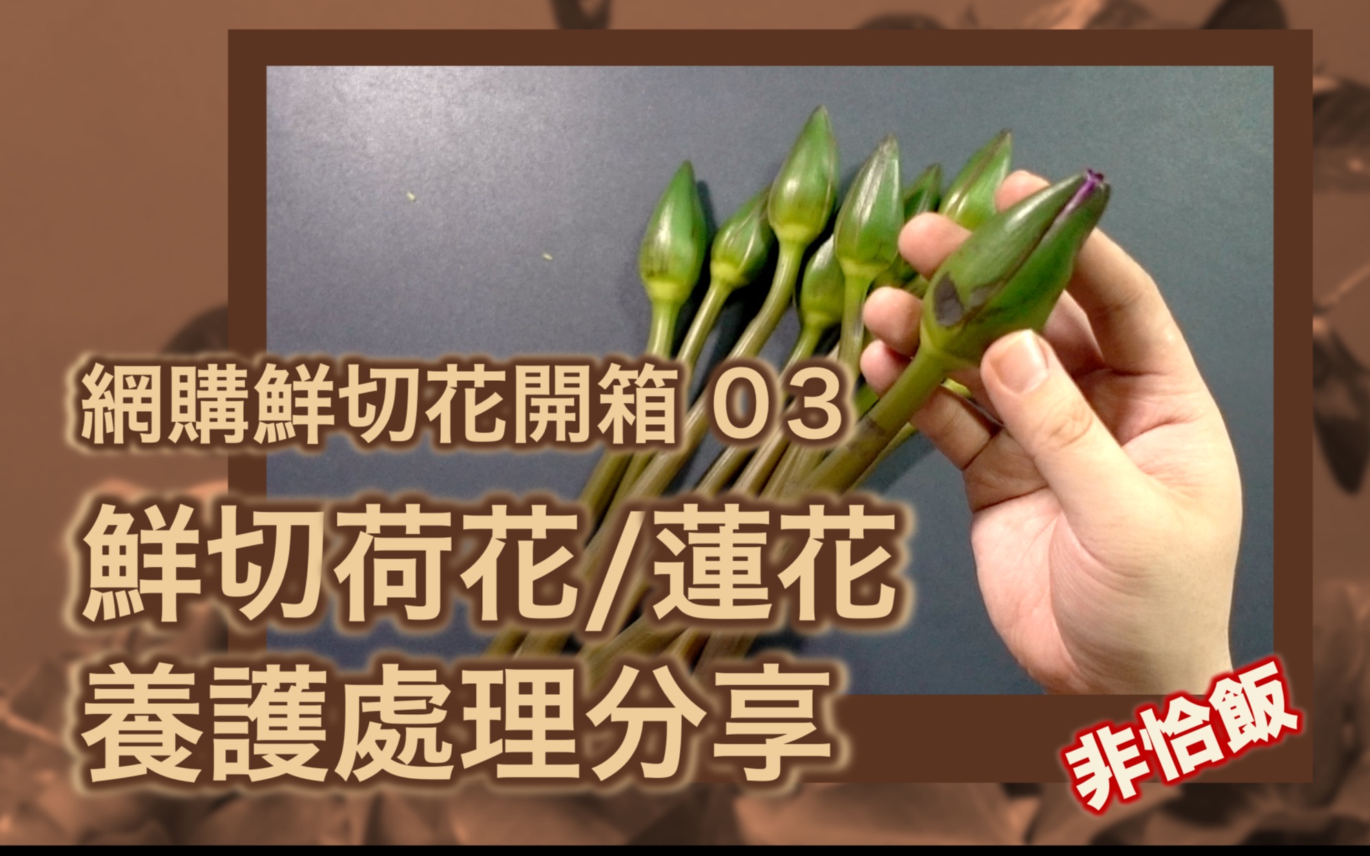 【非恰饭网购鲜花开箱003】插花师教你莲花/荷花养护、处理方法哔哩哔哩bilibili