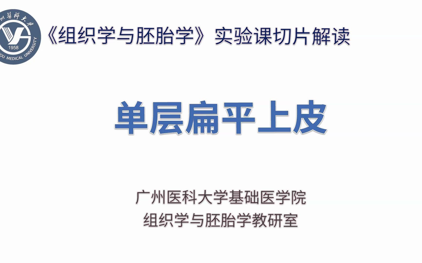 《组织学与胚胎学》实验课讲解视频—上皮组织—单层扁平上皮哔哩哔哩bilibili