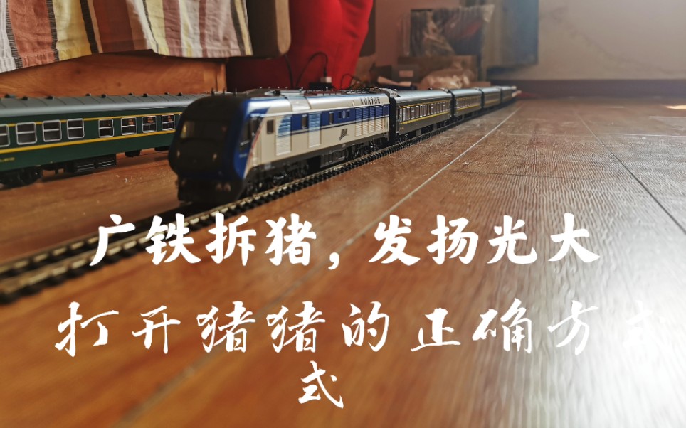 火车模型Ⅰ广铁拆猪学习优良传统这才是猪的正确方式嘛百万城df11g