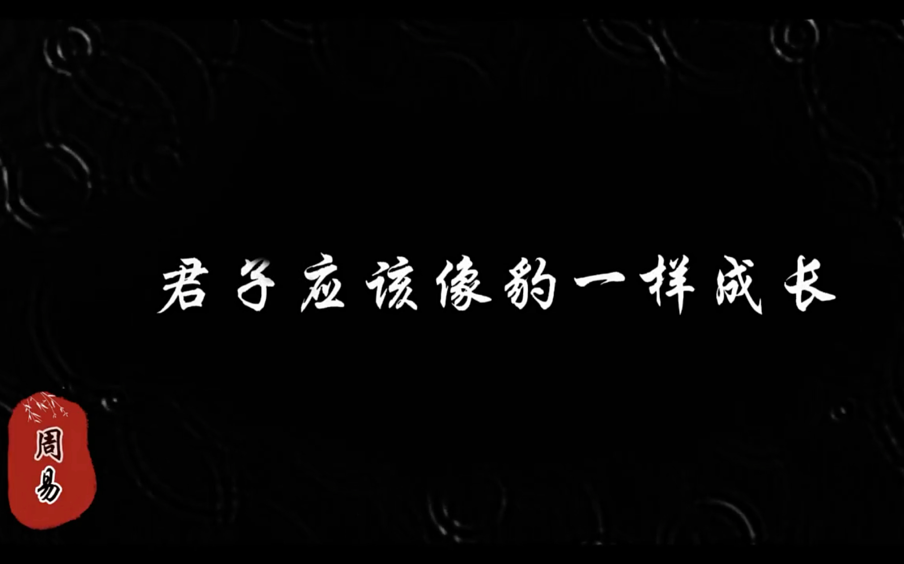 《周易》“君子和小人有什么区别?大人虎变;君子豹变;小人革面!”哔哩哔哩bilibili