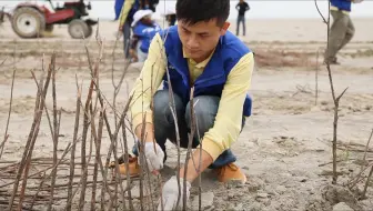 2011荒漠化防治项目视频