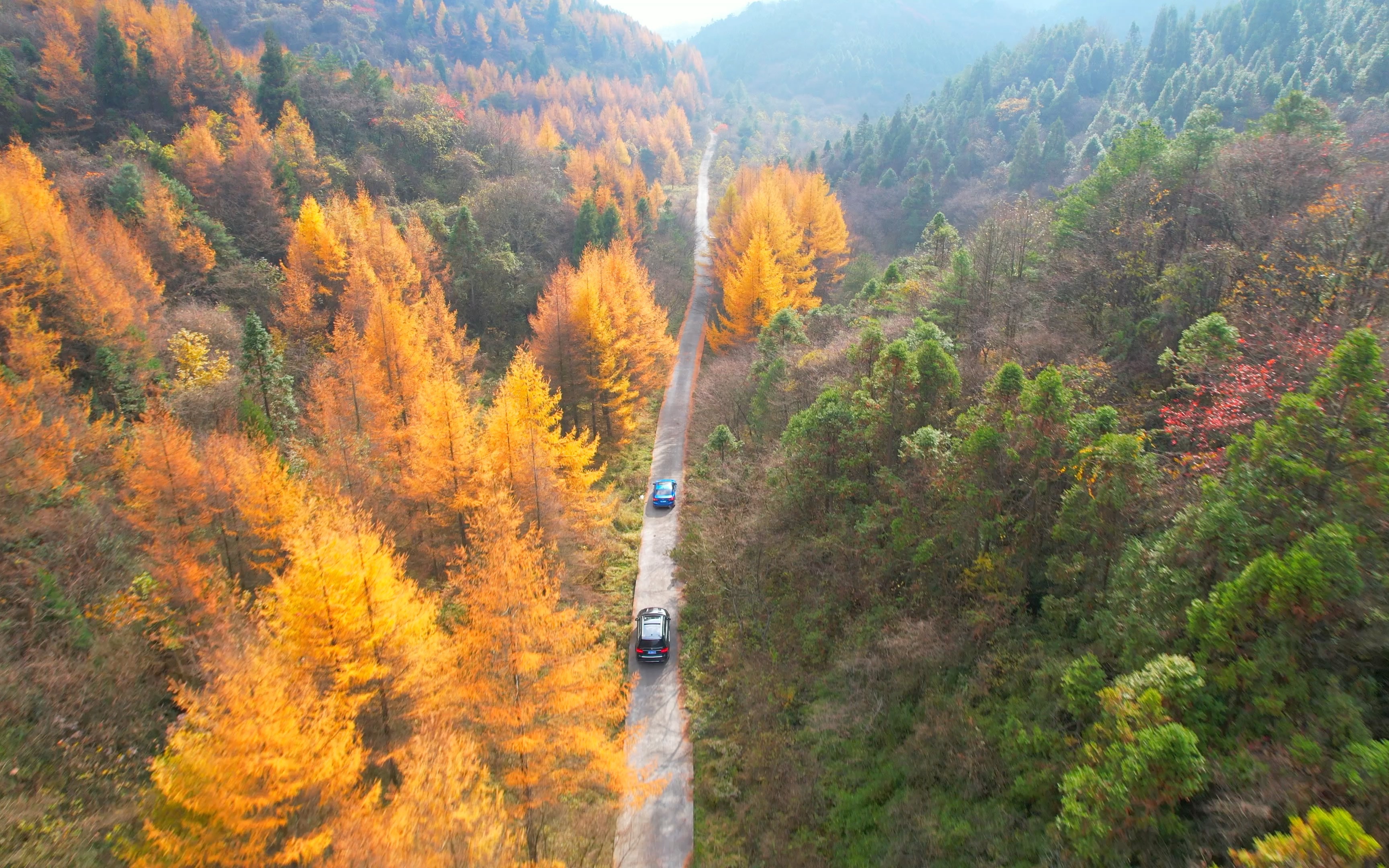 重庆丰都轿子山