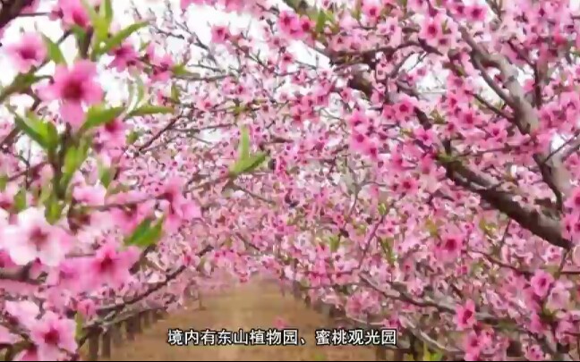 【秒懂百科】河北衡水市深州市哔哩哔哩bilibili