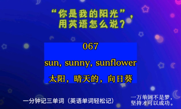 一分钟记三单词(英语单词轻松记)067:sun, sunny, sunflower太阳,晴天的,向日葵哔哩哔哩bilibili