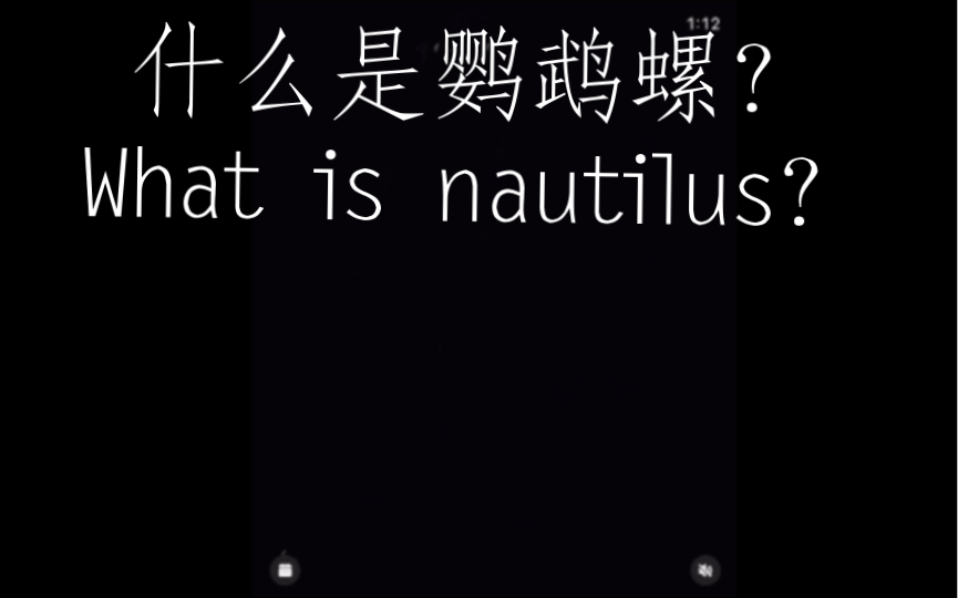 【Balisong】什么是鹦鹉螺?这就是鹦鹉螺. What is nautilus? This is哔哩哔哩bilibili