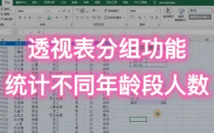 Descargar video: Excel 使用数据透视表分组功能，快速统计不同年龄段人数