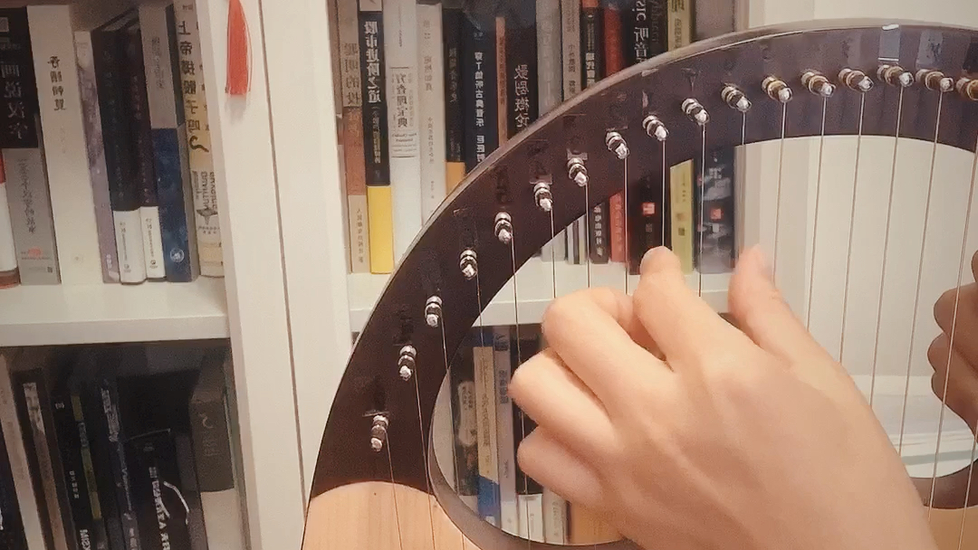 莱雅琴入手第一天自学试弹alwayswithme弹琴一分钟调琴半小时手动狗头