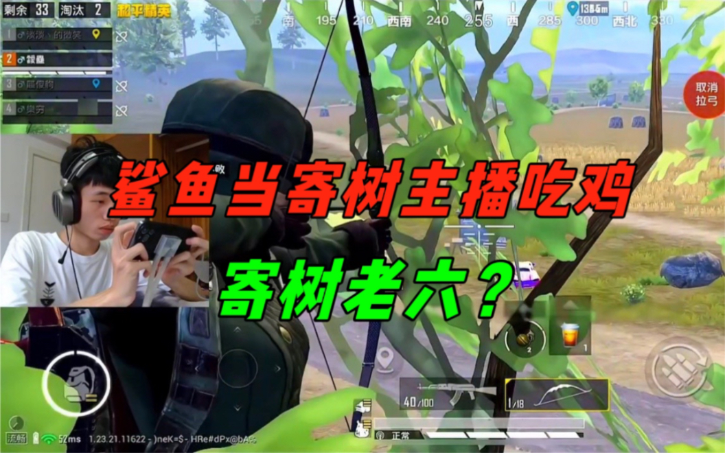 《鲨鱼不惜冒险穿越轰炸区,只为当上寄树主播?寄树后爽麻了!》-鲨雕哟sdy-鲨雕哟sdy-哔哩哔哩视频