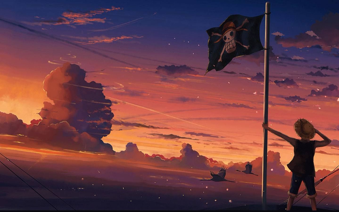 活动作品海贼王luffy路飞的小秘密33