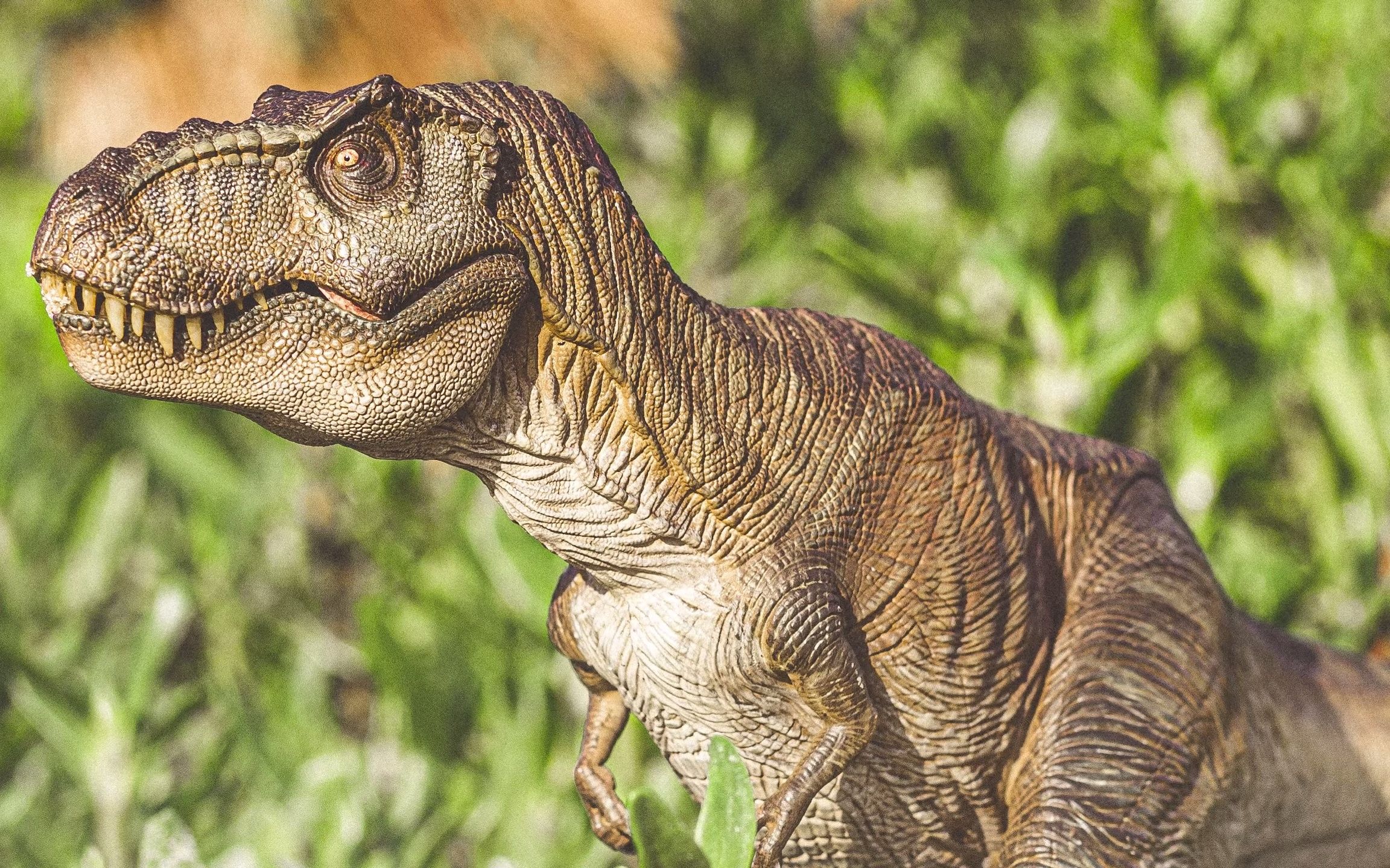 nanmu tyrannosaurus - jurassic brazil collection