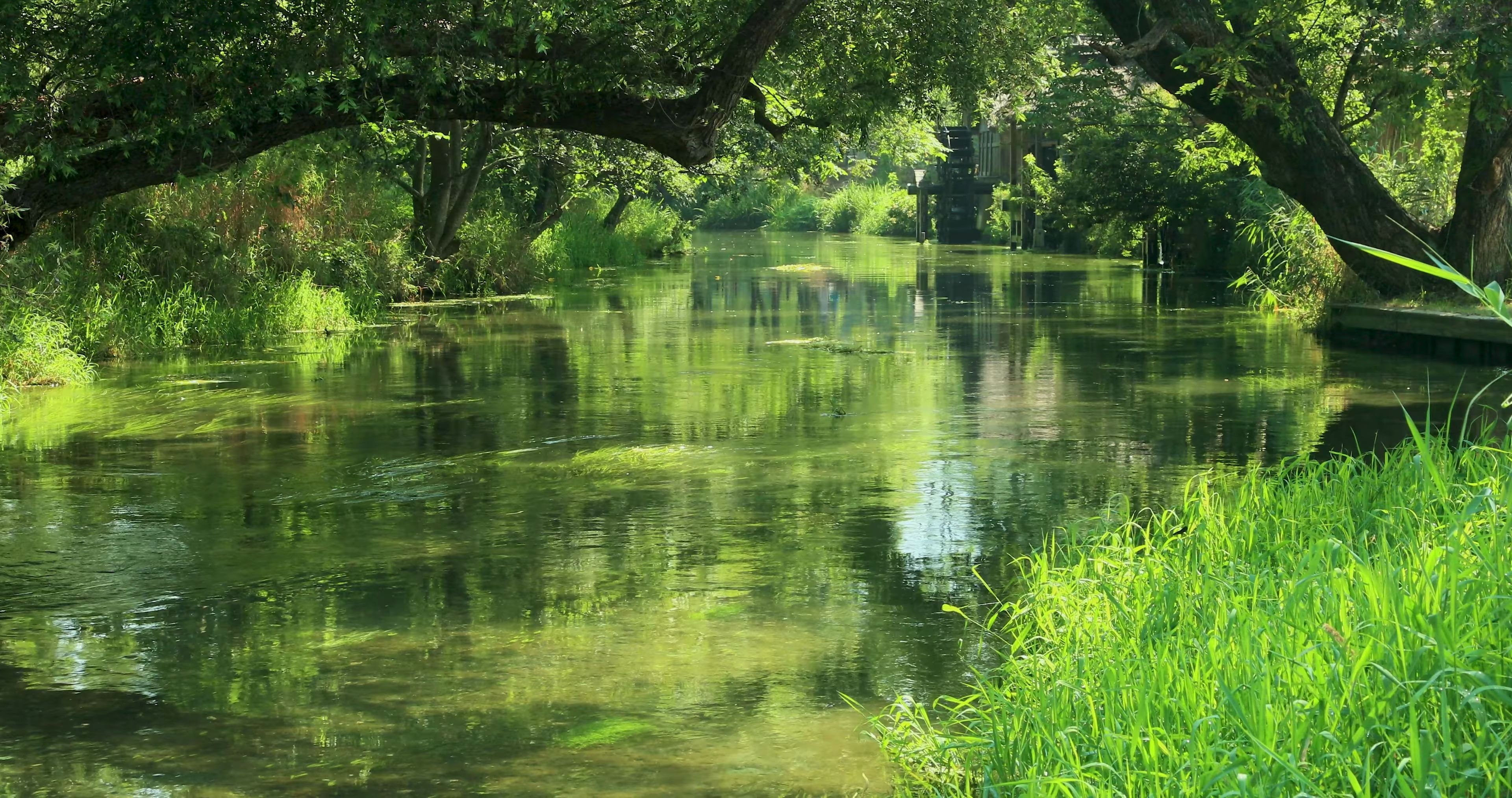 大自然的宝藏4k画质村边溪流水车旁的缓缓流水声静心1小时21603840