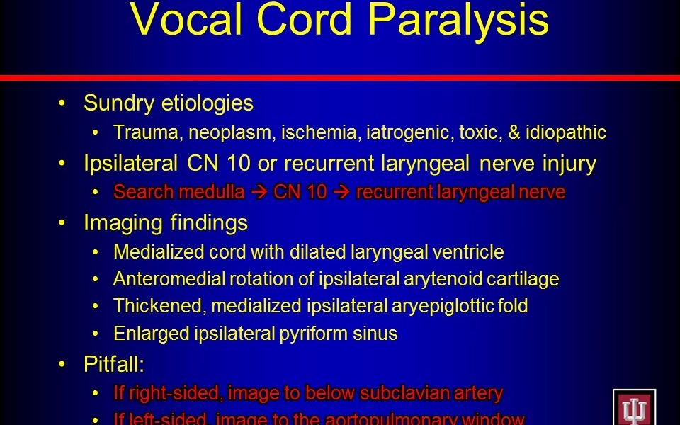 arytenoid cartilage图片