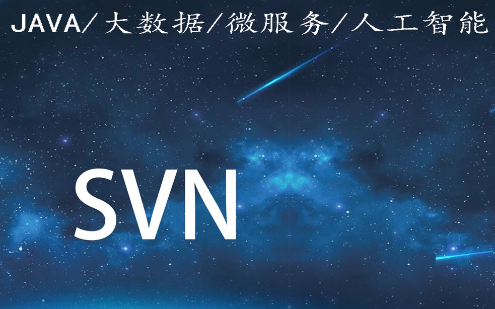 SVN视频教程哔哩哔哩bilibili