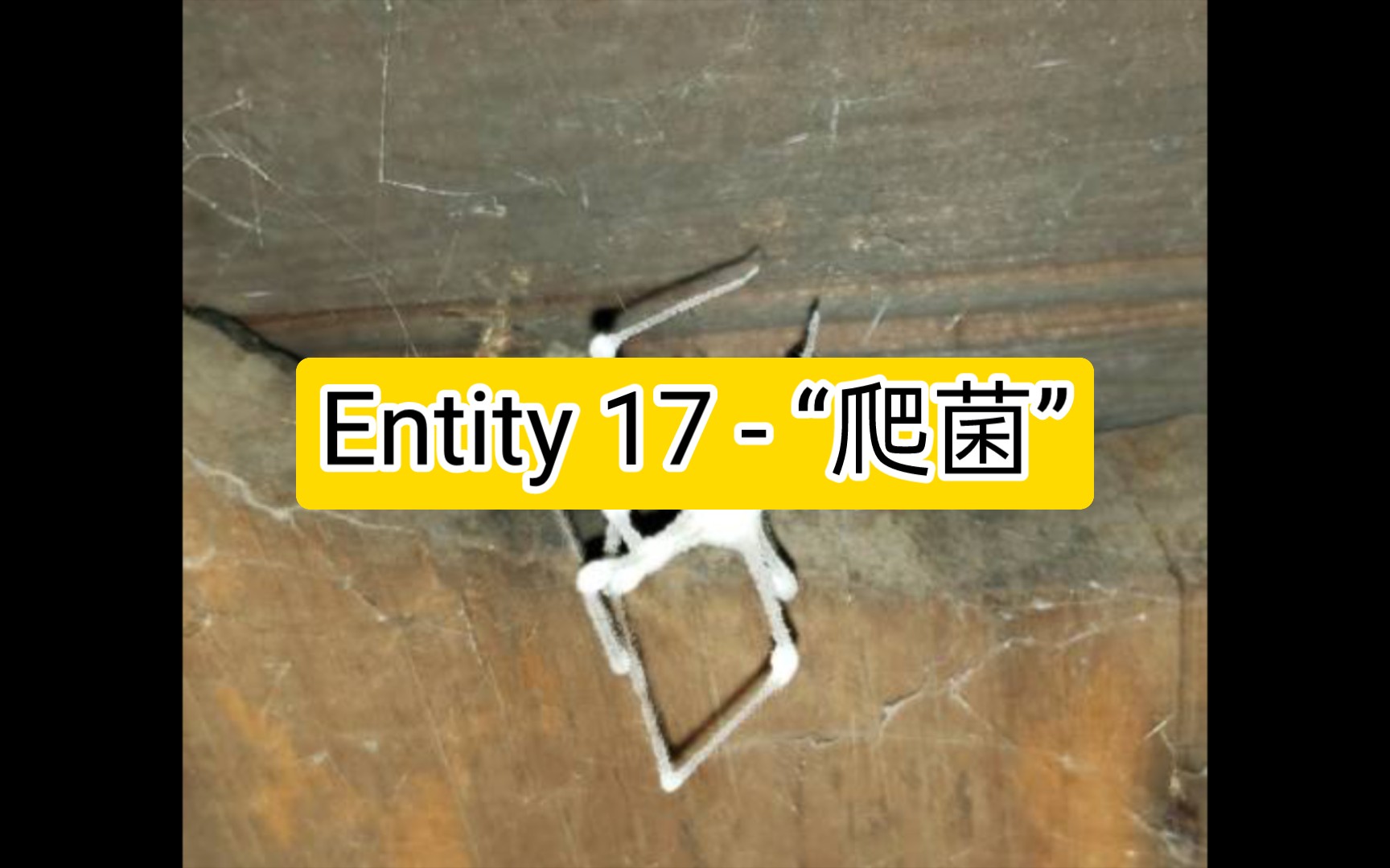 [backrooms 后室] Entity 17  “爬菌”哔哩哔哩bilibili