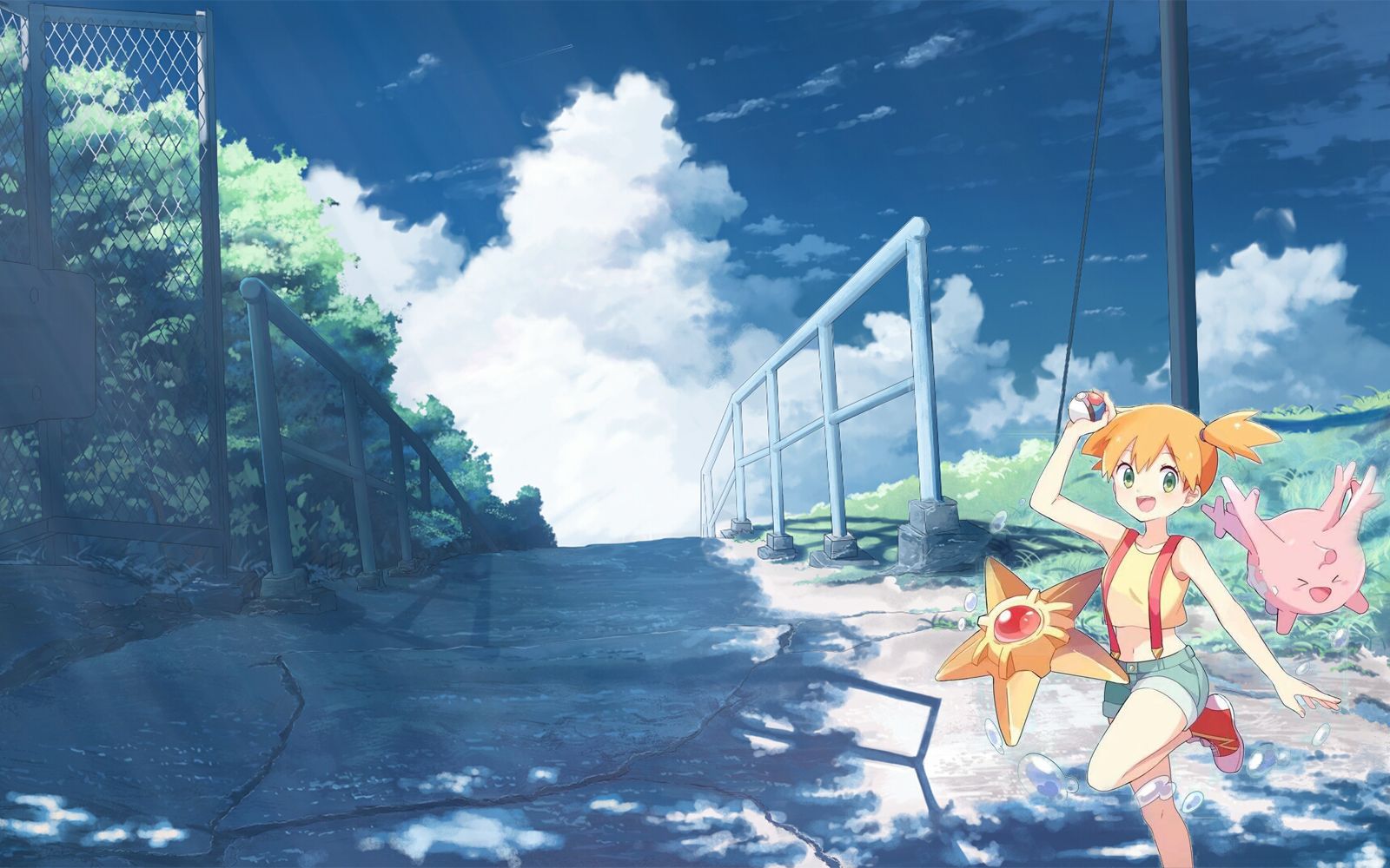 宝可梦盾!击败水系道馆!