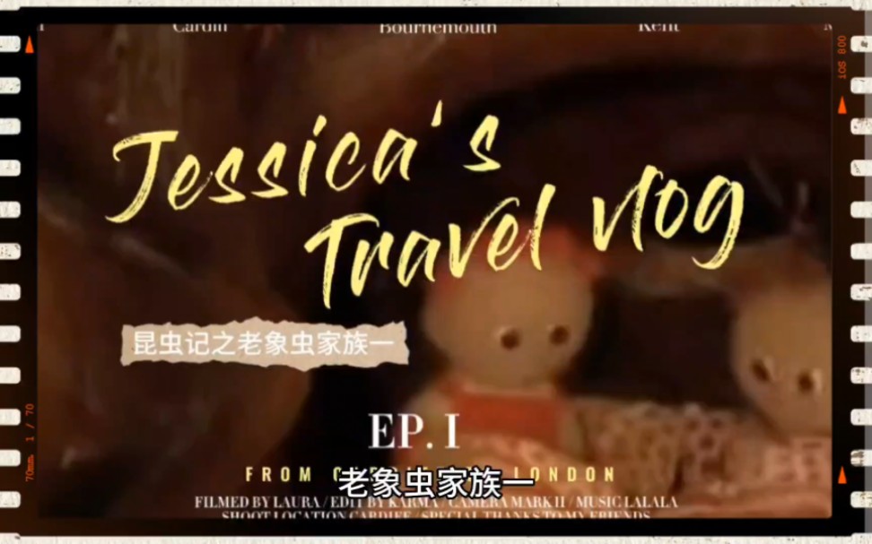 昆虫记之老象虫家族一