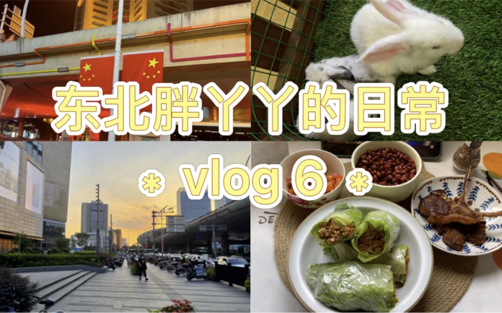 Vlog6|东北胖丫丫的日常|东北饭包|国庆快乐鸭哔哩哔哩bilibili