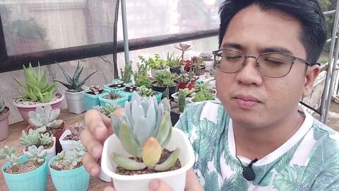 搜索 哔哩哔哩 つロ干杯 Bilibili