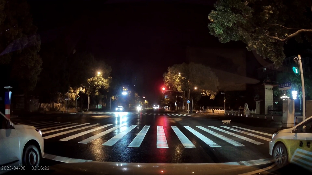 深夜拍到一只等红绿灯过斑马线的狗子