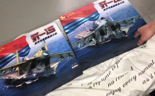 Descargar video: 开箱AF1歼-15航空母舰舰载战斗机 黄色试验机模型1/48