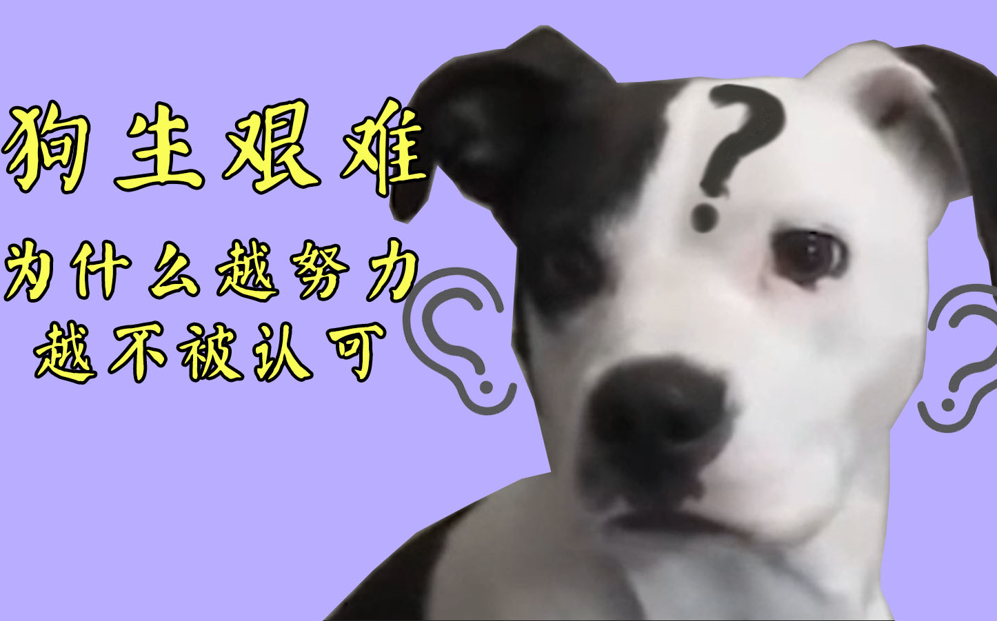 第一集:《狗生艰难》--为什么越努力越不被认可