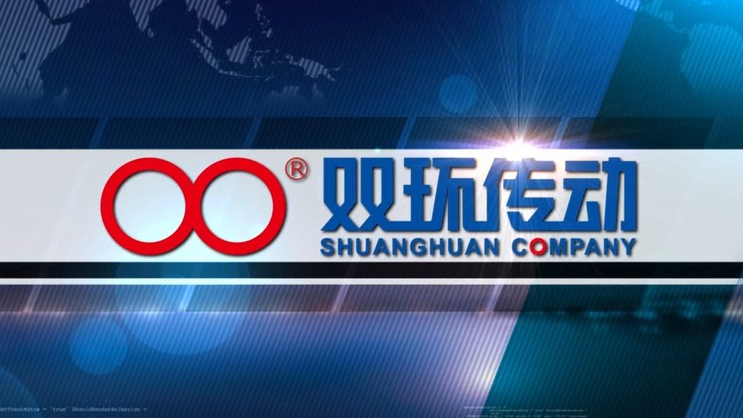 双环传动002472_全球最大的专业齿轮散件研发制造企业,国内新能源汽车