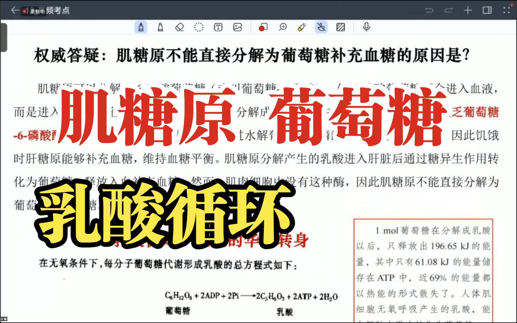 权威答疑!肌糖原不能直接分解为葡萄糖的原因? 乳酸循环!哔哩哔哩bilibili