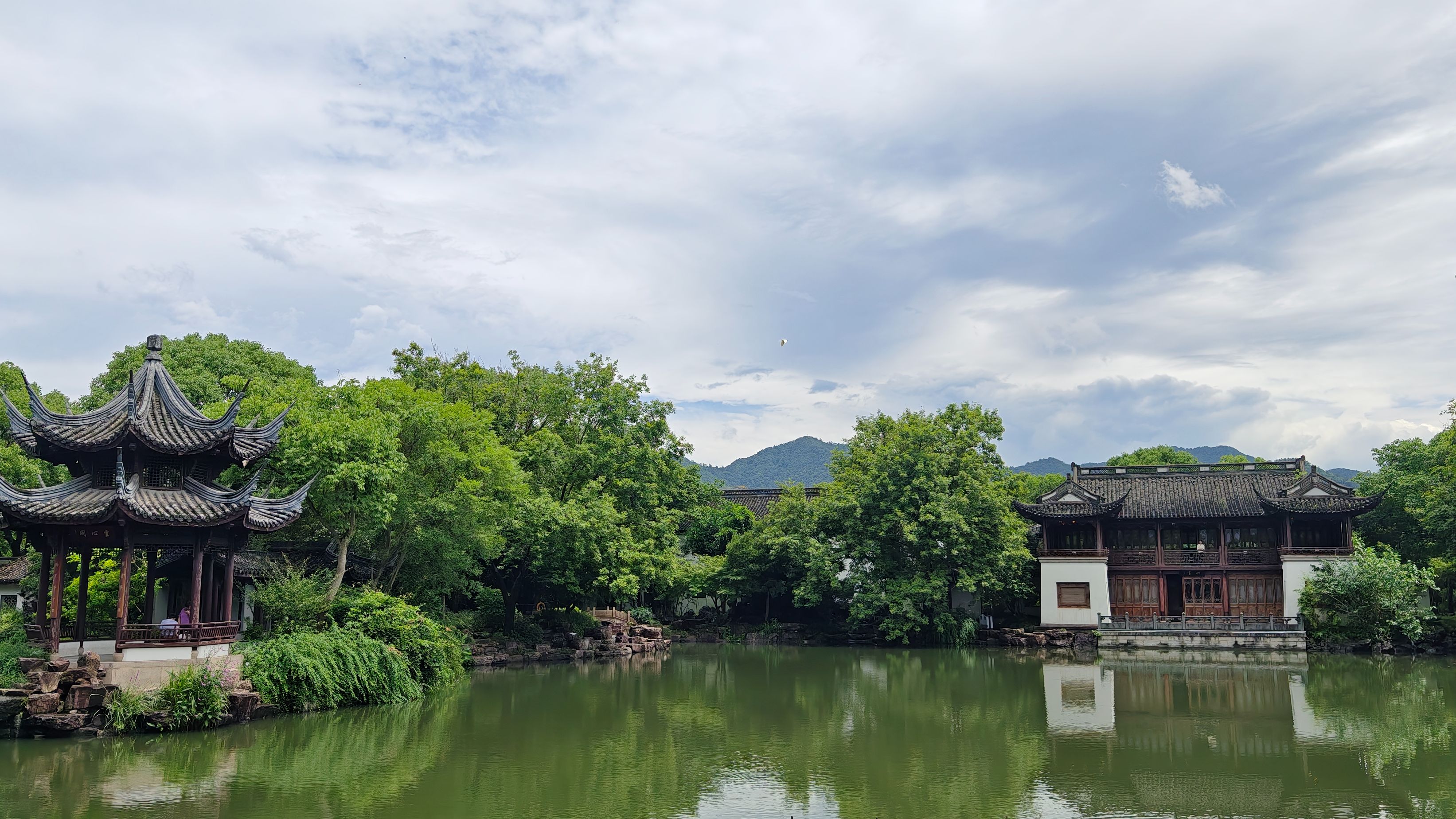 误入藕花深处之西溪湿地,雨中在林荫小道漫步,没有人声喧嚣,心旷神怡