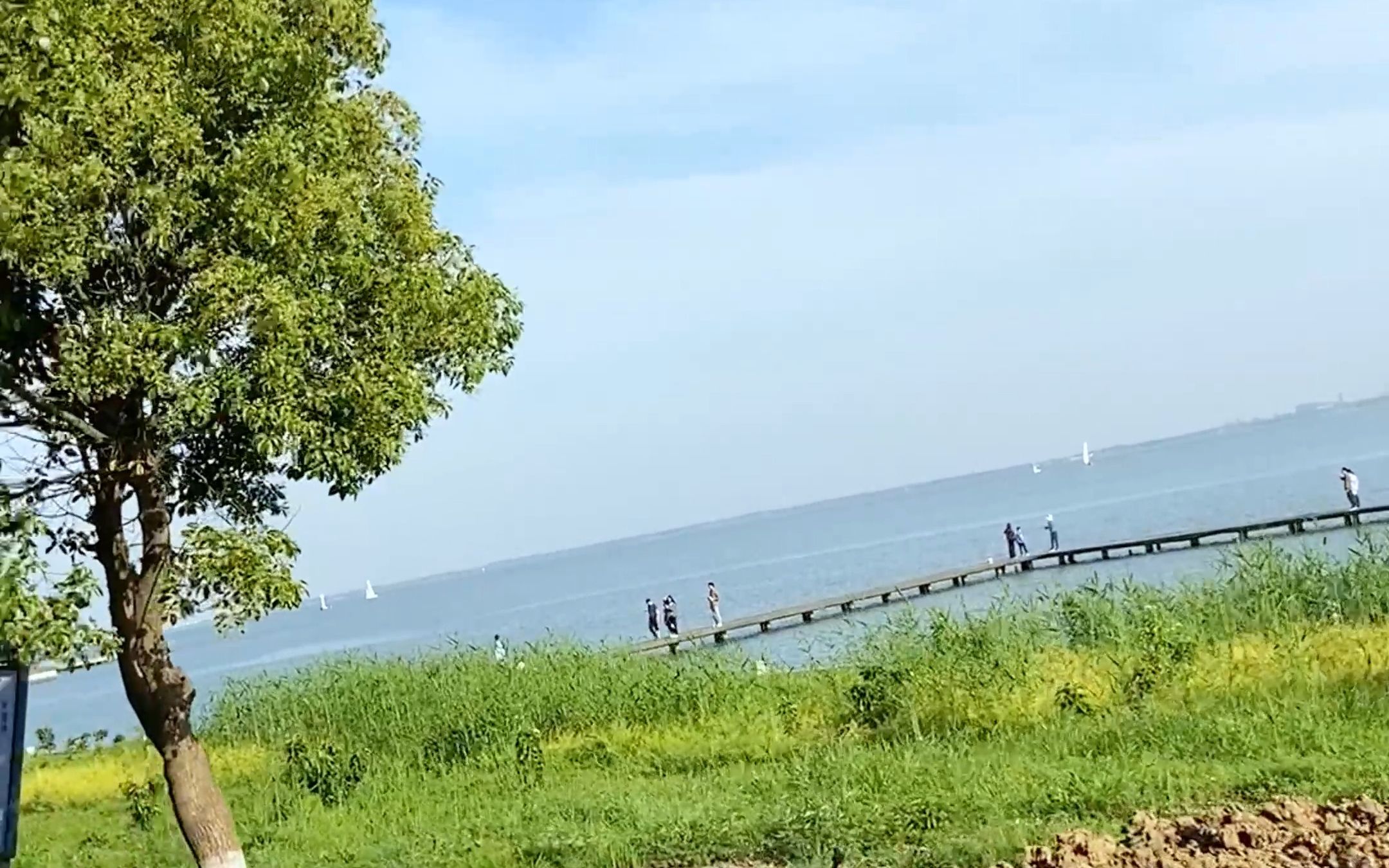 淀山湖环湖骑行