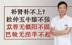 Download Video: 补肾补不上？杜仲五牛膝不强 苁蓉无锁阳不固 巴戟无淫羊不起