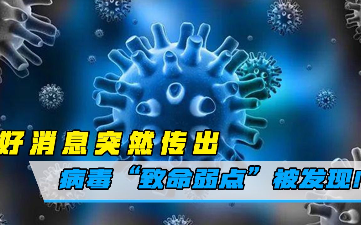 变异病毒蔓延至44国,好消息突然传出:病毒"致命弱点"被发现!